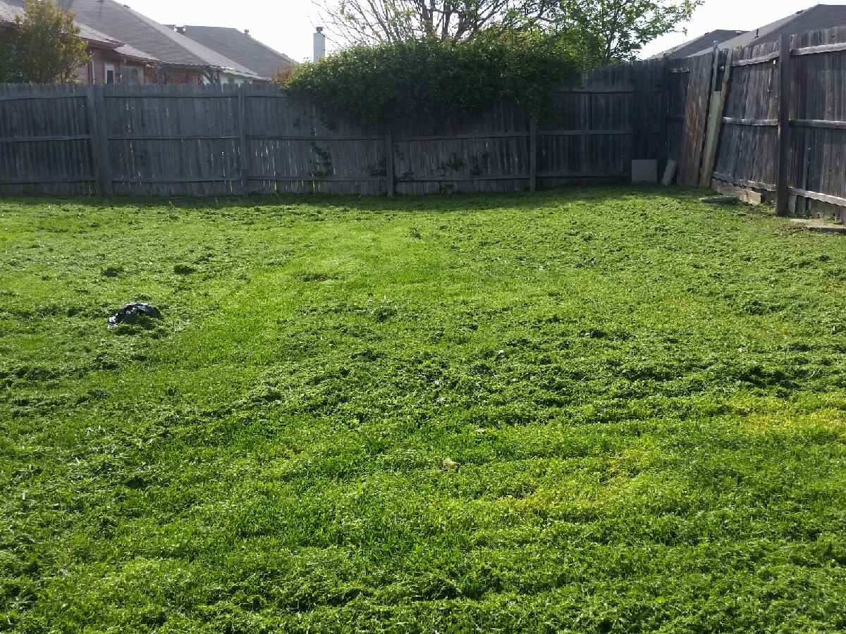 552d68867a40557e12000007 Land For Everyone